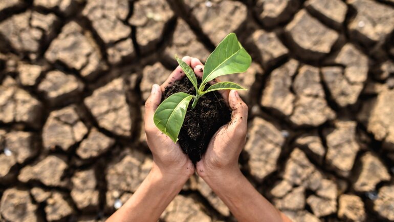 Η κλιματική αλλαγή ευνοεί την εξάπλωση μολυσματικών ασθενειών