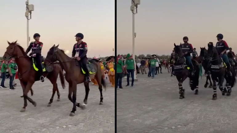 Τα πανέμορφα αραβικά άλογα συνοδευόμενα από μεξικάνικα άλογα