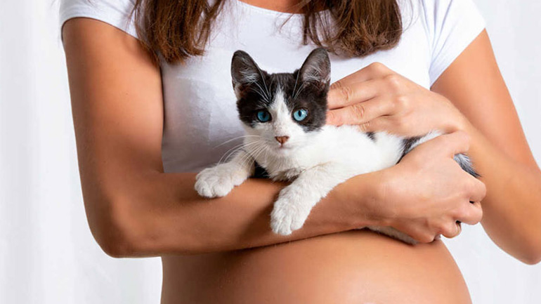 Τι να κάνεις με τη γάτα σου κατά την περίοδο της εγκυμοσύνης
