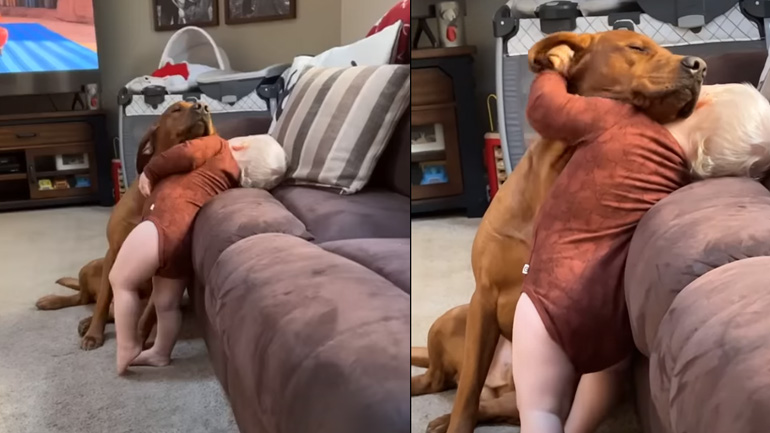 To μικρό αγόρι και ο σκύλος του