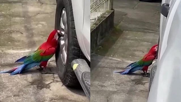 Άντρας ανακαλύπτει ποιος ξεφουσκώνει τα λάστιχα του αυτοκινήτου του