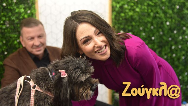 Αποχωρεί η EnableGood από το ίδρυμα της Ιωάννας Παλιοσπύρου