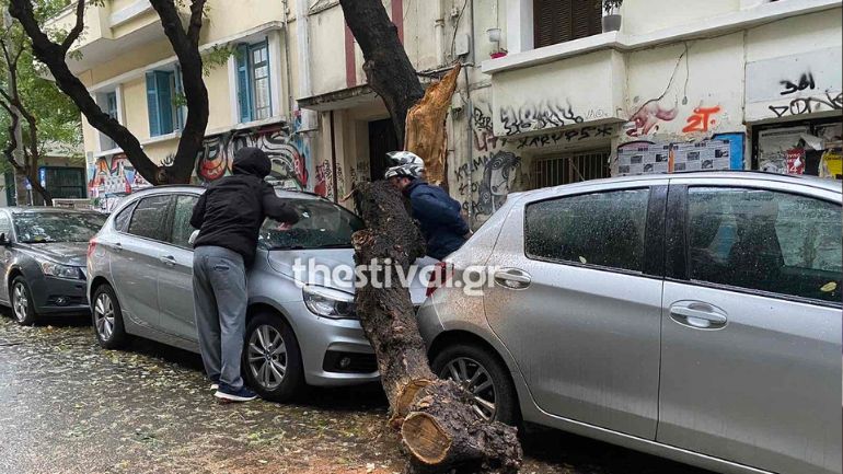 Θεσσαλονίκη: Διακοπές ρεύματος και πτώσεις δέντρων προκάλεσε η «Άριελ»