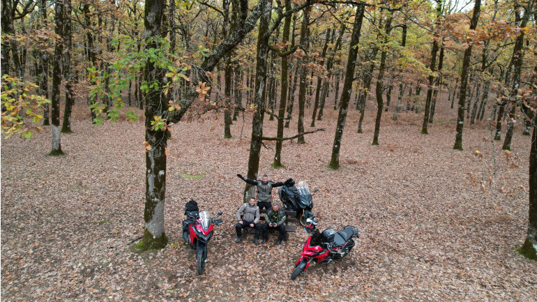 Απόδραση στο Δάσος Φολόης και τη Λίμνη Λάδωνα