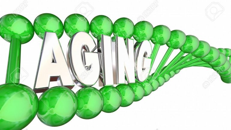 Οι πρώιμες εμπειρίες της ζωής μπορούν να έχουν μακροχρόνιο αντίκτυπο στα γονίδια