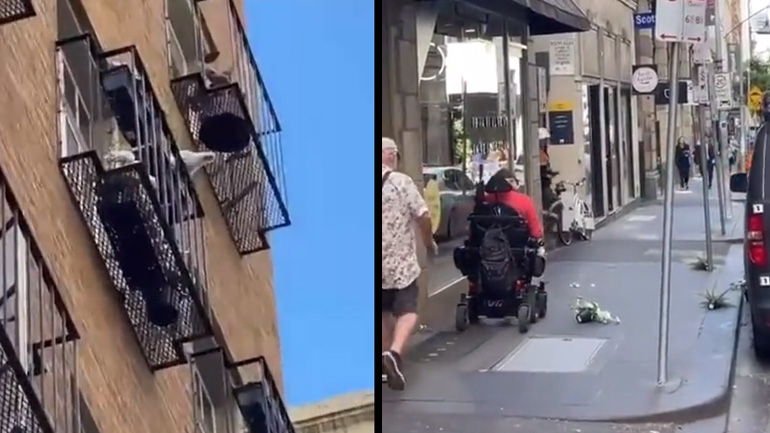 Θυμωμένος Cockatoo πετάει πράγματα από μπαλκόνι διαμερίσματος