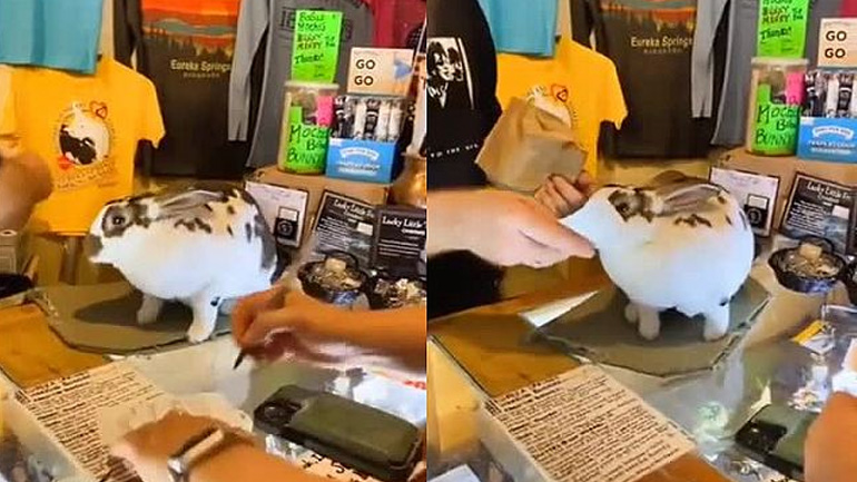 Βοηθός σε κατάστημα