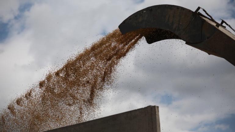 Η Ρωσία προχώρησε στη συγκομιδή περίπου 5,8 εκατομμυρίων τόνων ουκρανικών σιτηρών