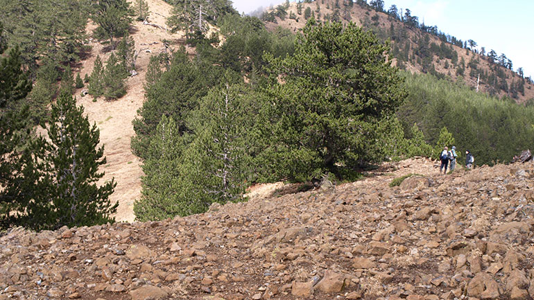Όταν οι Νεάντερταλ … περπατούσαν στον Σμόλικα