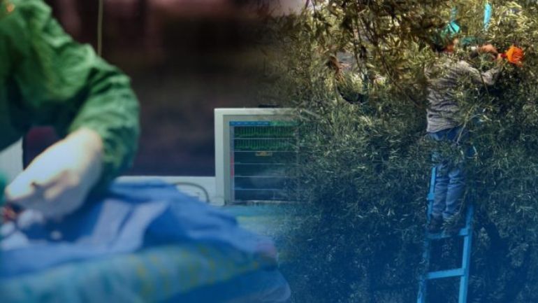 Κρήτη: Στο Νοσοκομείο 27χρονος με τραύμα στο κεφάλι- Έπεσε από την ελιά που ράβδιζε