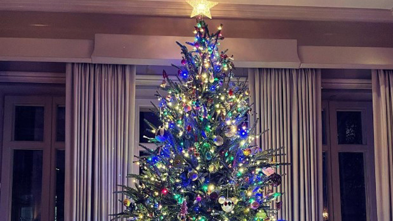 Κλέβουν τις εντυπώσεις τα χριστουγεννιάτικα δέντρα των διασήμων!