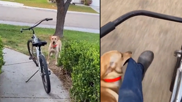 Ανέβα στο ποδήλατο να πάμε βόλτα