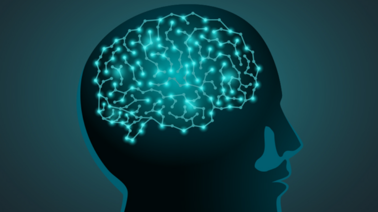 Το πεπτίδιο που οδηγεί την ανάπτυξη νευρικών συνδέσεων στον εγκέφαλο