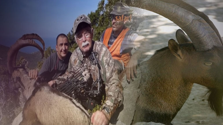 Καταδικάστηκε δασοφύλακας που πουλούσε λαθραία κρι κρι από Κρήτη σε Ήπειρο