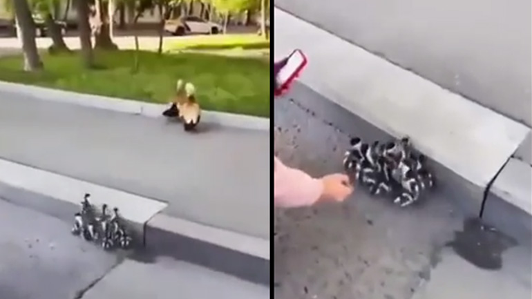 Μια καλή πράξη δεν ανταμείβεται πάντα