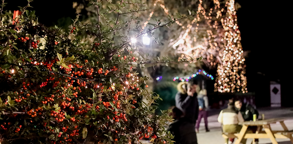Μια βόλτα στο στολισμένο Πεδίον του Άρεως