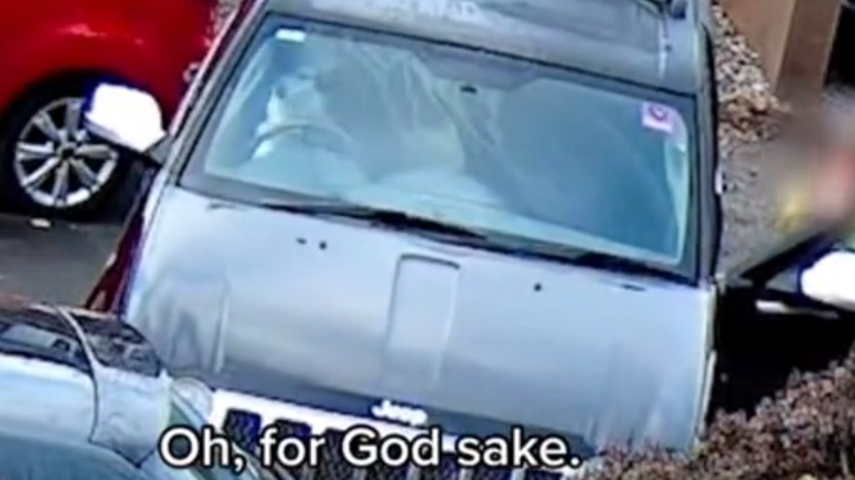 Σκύλος παίρνει τον έλεγχο ενός αυτοκινήτου και προκαλεί ατύχημα