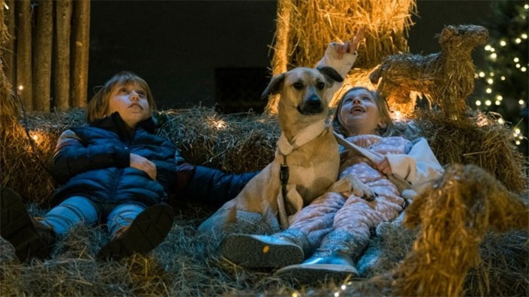 «Beanie»: Η πρώτη σλοβενική χριστουγεννιάτικη ταινία