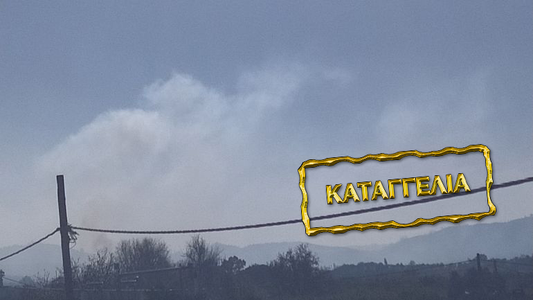 Καταγγελία: Χωρίς τα νόμιμα φίλτρα εργοστάσιο πυρηνελαιουργείου στο Γύθειο