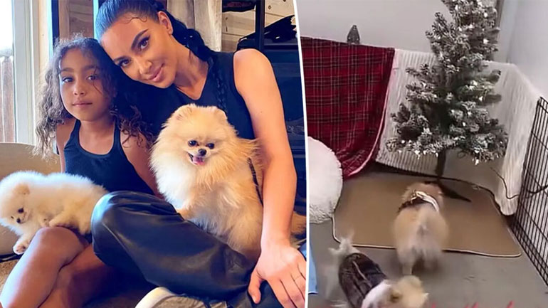 Kim Kardashian: Θύελλα αντιδράσεων με ένα βίντεο που δείχνει τα σκυλιά της να ζουν στο γκαράζ