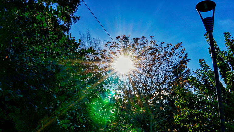 Παρατείνεται το φαινόμενο της αφύσικης καλοκαιρίας