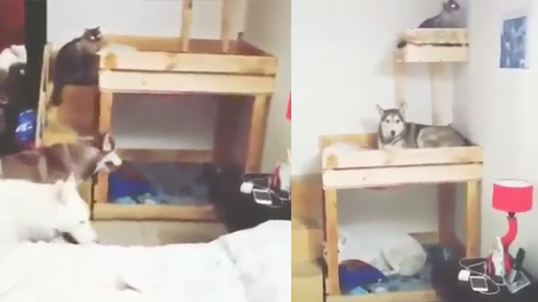 Ώρα για ύπνο