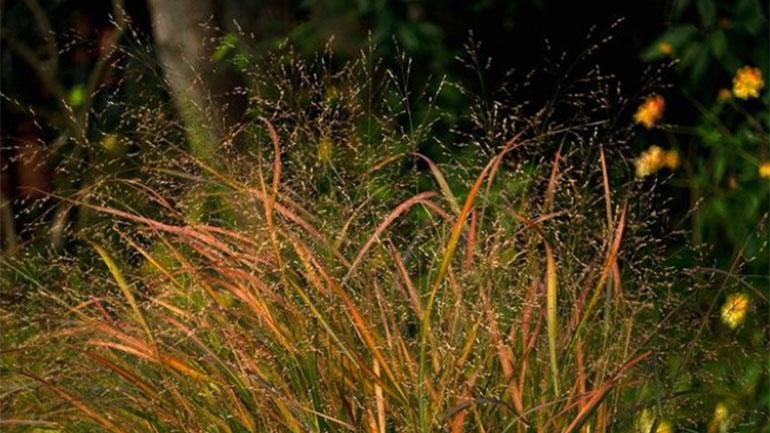 To Giverny του Κλοντ Μονέ, μέσα από τον φακό της Terri Weifenbach