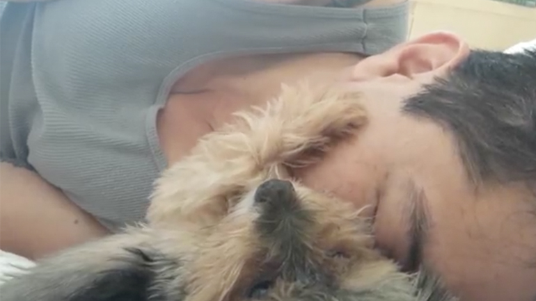 Ο σκύλος χαϊδεύει τον ιδιοκτήτη του