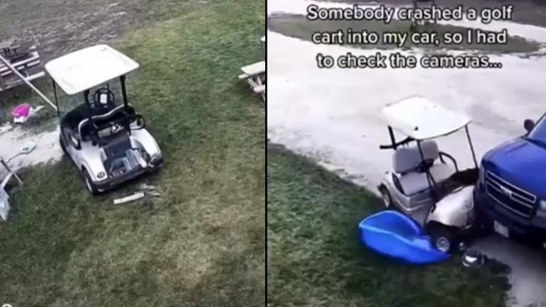 Σκύλος τρακάρει το αυτοκίνητο του ιδιοκτήτη του