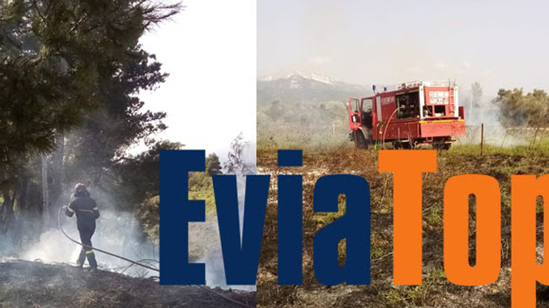 Eύβοια: Γυναίκα συνελήφθη για φωτιά στο δήμο Διρφύων – Μεσσαπίων