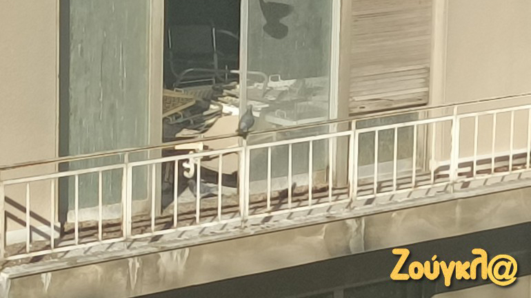 Περιστερώνας… με πεταμένα έπιπλα, οι δύο όροφοι του Μαιευτηρίου Έλενας