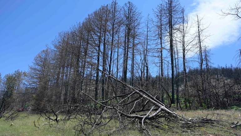 Στην τελική ευθεία υλοποίησης το Πρόγραμμα Ανασυγκρότησης της Βόρειας Εύβοιας