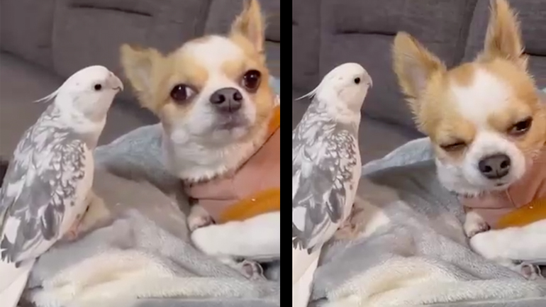 Όρεξη που την έχεις