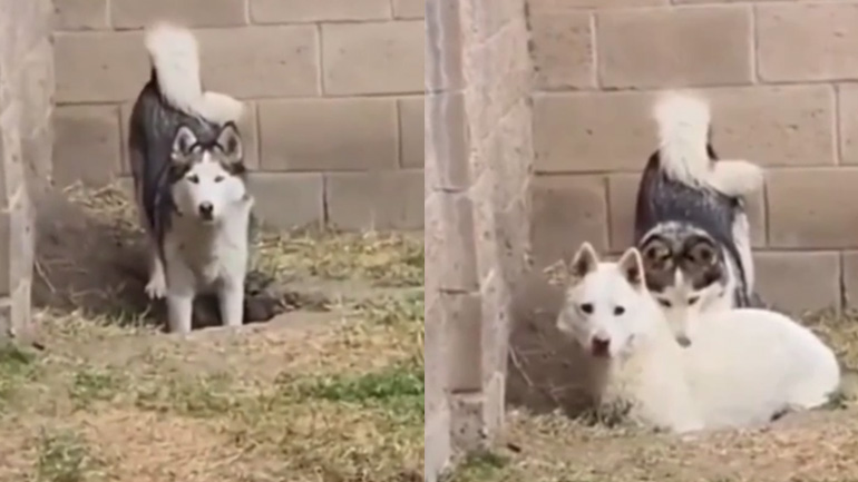 Την βάψαμε!