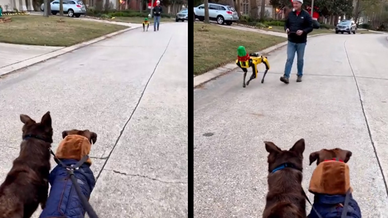 Δύο σκύλοι συναντούν ένα σκύλο ρομπότ