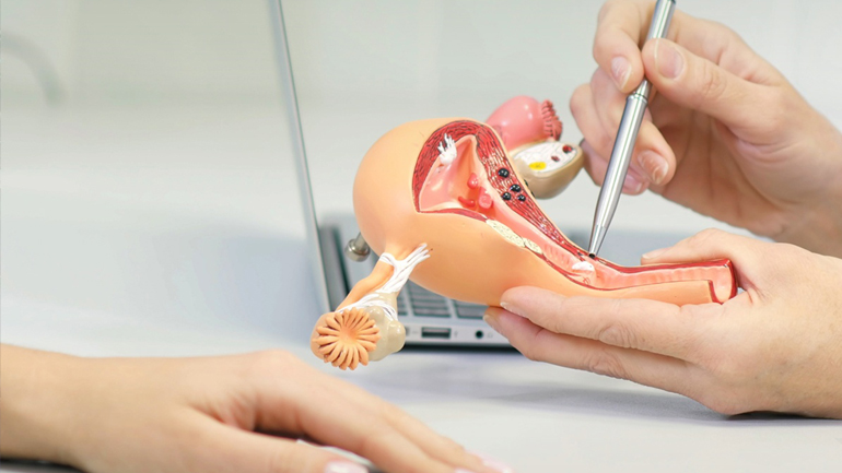 Γνωριμία με τον τράχηλο της μήτρας