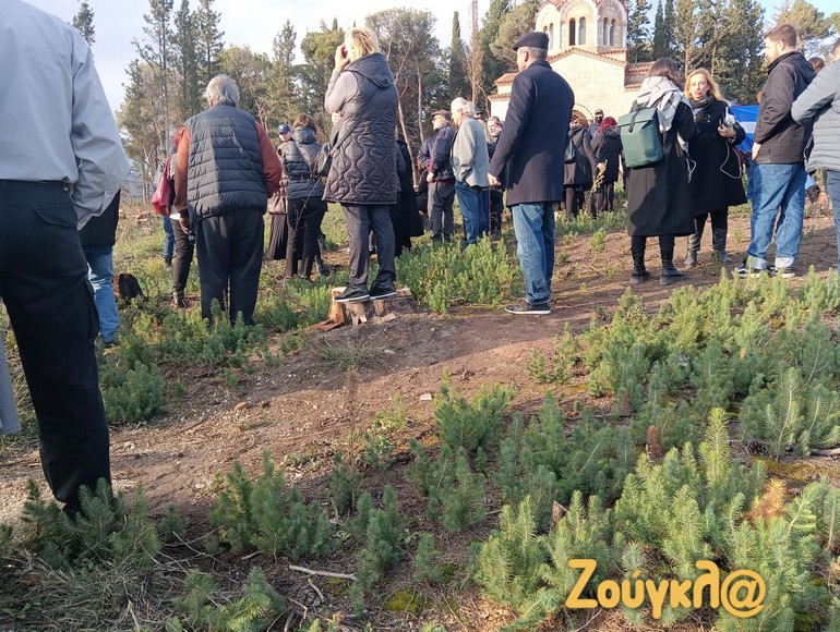 Ο κόσμος που παρευρέθηκε στην ταφή του τέως βασιλιά στεκόταν πάνω στα πευκάκια που είχαν φυτευτεί σε μια προσπάθεια αναδάσωσης.