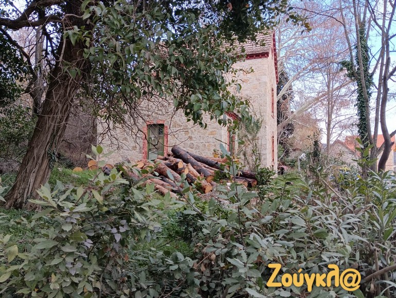 Κτήρια «θαμμένα» κάτω από φυλλωσιές και στοιβαγμένα καυσόξυλα.