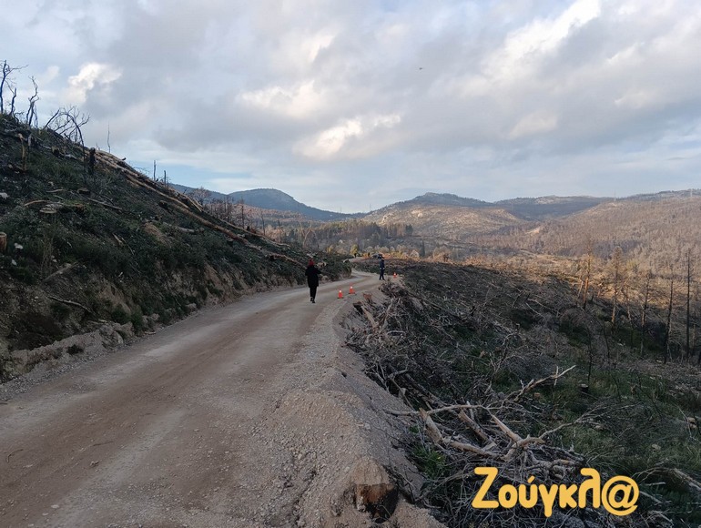 Ο δρόμος από τον οποίο πέρασαν οι επίσημοι.