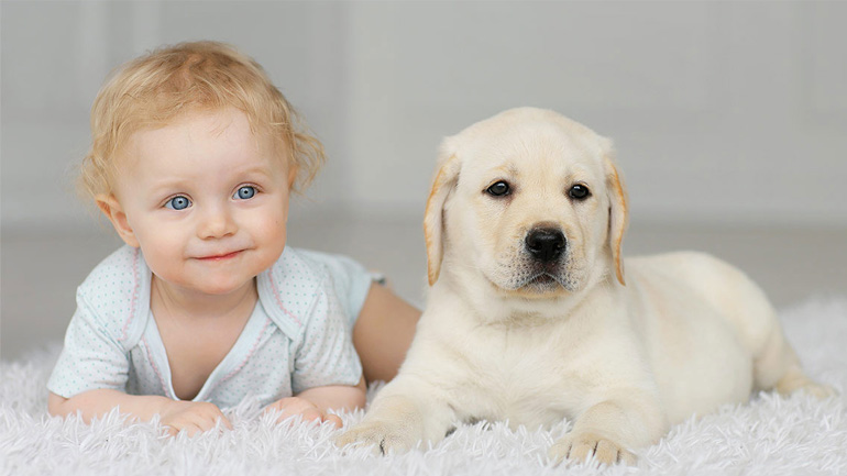Πώς ωφελεί το μωρό η επαφή με τον σκύλο ή τη γάτα στον πρώτο χρόνο της ζωής του