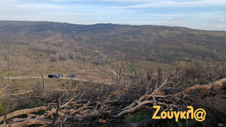 Απαράδεκτες εικόνες από το Τατόι Απαράδεκτες εικόνες από το Τατόι