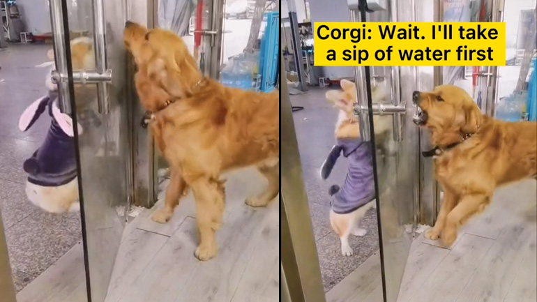 Περίμενε γιατί δίψασα