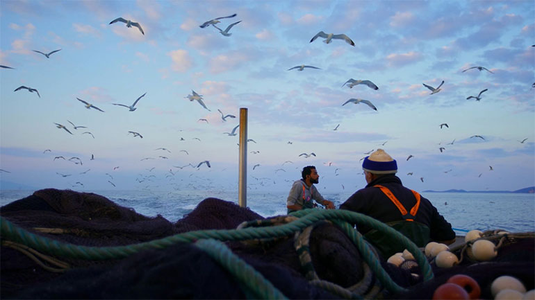 Cinedu: Ο κινηματογράφος ως εργαλείο διδασκαλίας