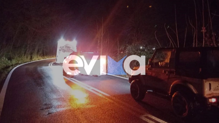 Εύβοια: Σοβαρά προβλήματα από την κακοκαιρία – Ανεμοστρόβιλος έριξε πλατάνια στη μέση του δρόμου