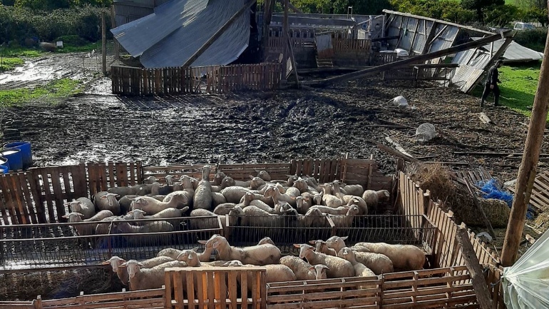 Μεσολόγγι: Μεγάλες ζημιές σε κτηνοτροφική μονάδα από ανεμοστρόβιλο