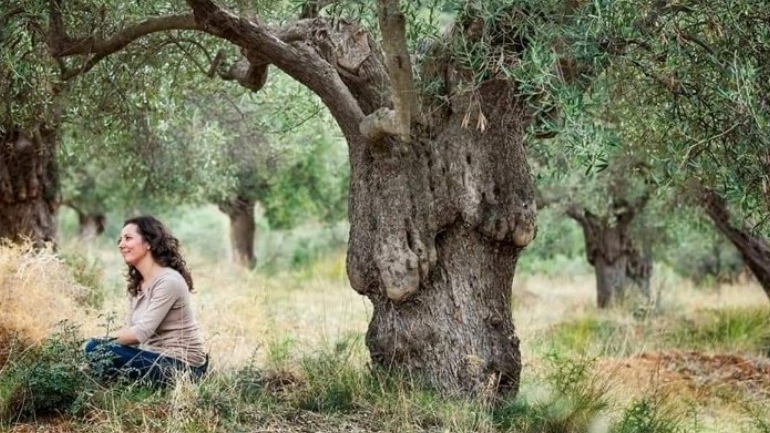 Η κλιματική αλλαγή απειλεί τις καλλιέργειες