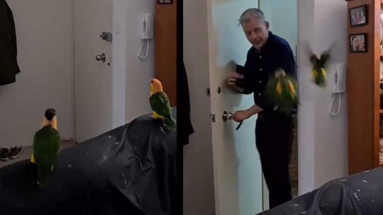 Όταν γυρίζει ο μπαμπάς στο σπίτι