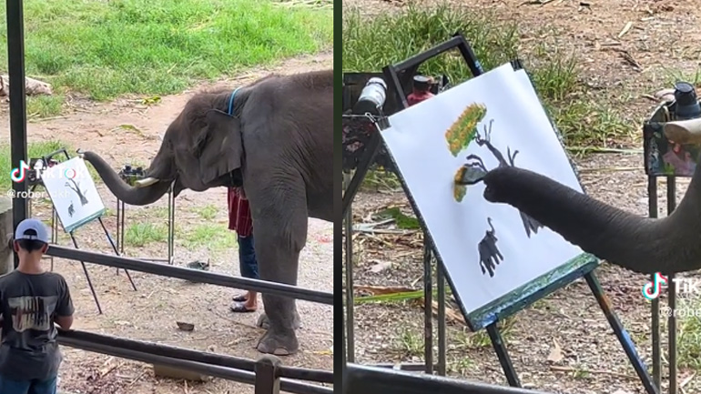 Ελέφαντας ζωγραφίζει ένα πίνακα