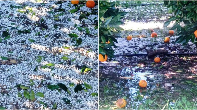 Ηλεία: Εκτεταμένες καταστροφές από τα ακραία καιρικά φαινόμενα στον δήμο Ανδρίτσαινας – Κρεστένων