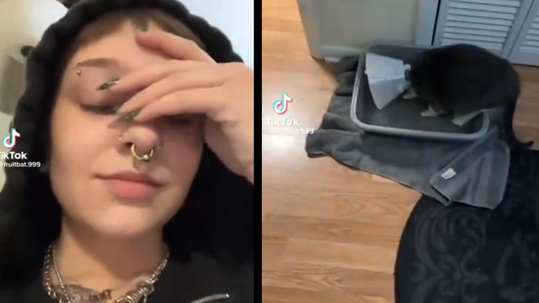 Η γάτα βρήκε έναν νέο τρόπο να διασκεδάζει